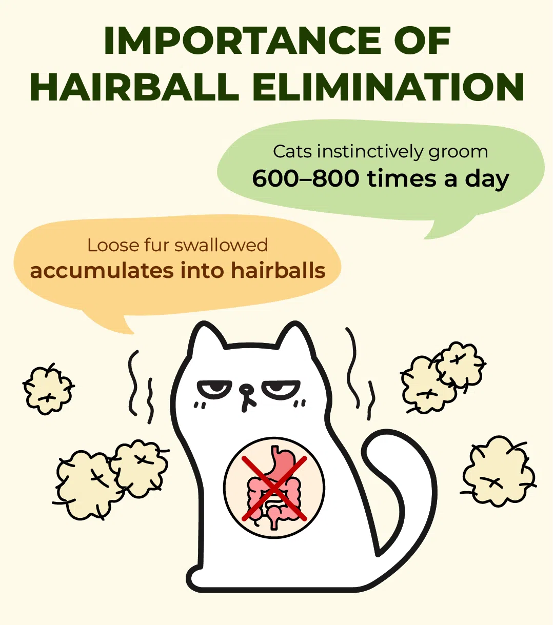 𝐍𝐔𝐓𝐑𝐈𝐏𝐋𝐔𝐆 – 𝐂𝐀𝐓 𝐆𝐑𝐀𝐒𝐒 𝐌𝐄𝐀𝐓𝐘 𝐖𝐄𝐓 𝐁𝐎𝐎𝐒𝐓𝐄𝐑